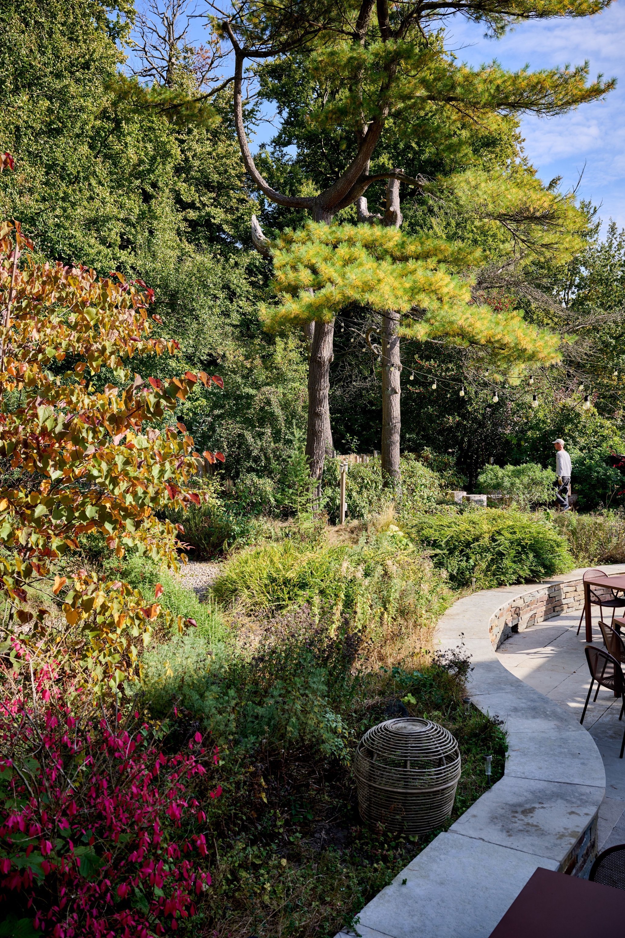 Terrasse du Forest Café en automne