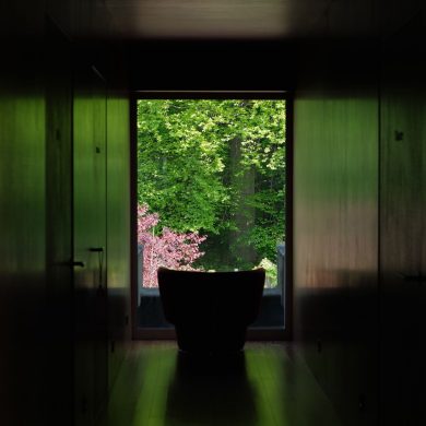 Clinique & Spa Forest